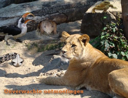 Ontmoetingen