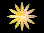 bloem