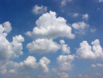 wolk
